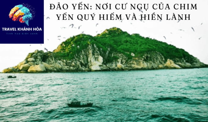 Đảo Yến: Nơi Cư Ngụ Của Chim Yến Quý Hiếm và Hiền Lành