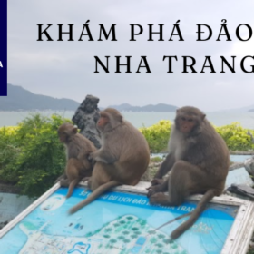 Khám phá Đảo Khỉ Nha Trang - Kỳ quan thiên nhiên