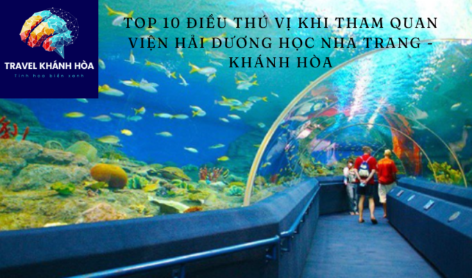 Top 10 điều thú vị khi tham quan Viện Hải dương học Nha Trang – Khánh Hòa